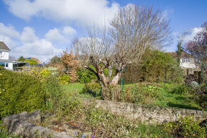 Photo 25- click for photo gallery